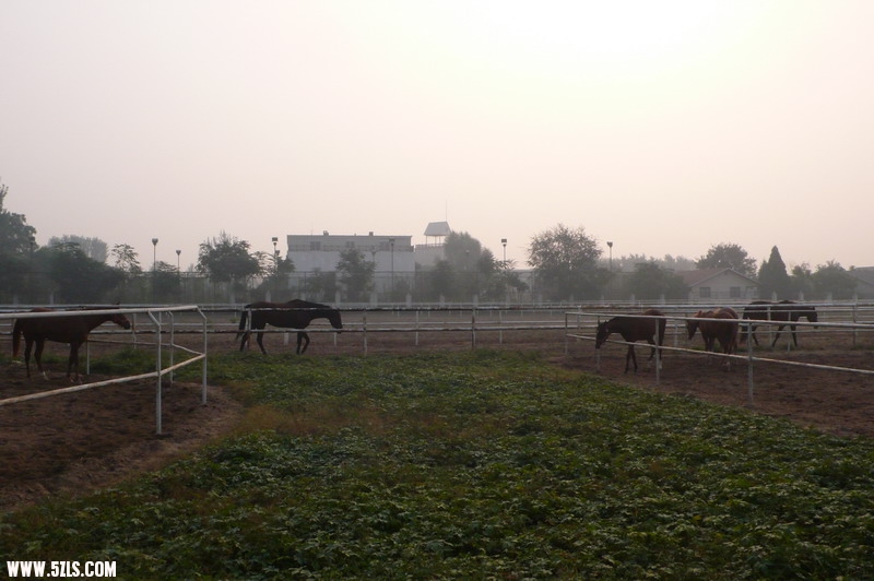 P1130414_СС.JPG