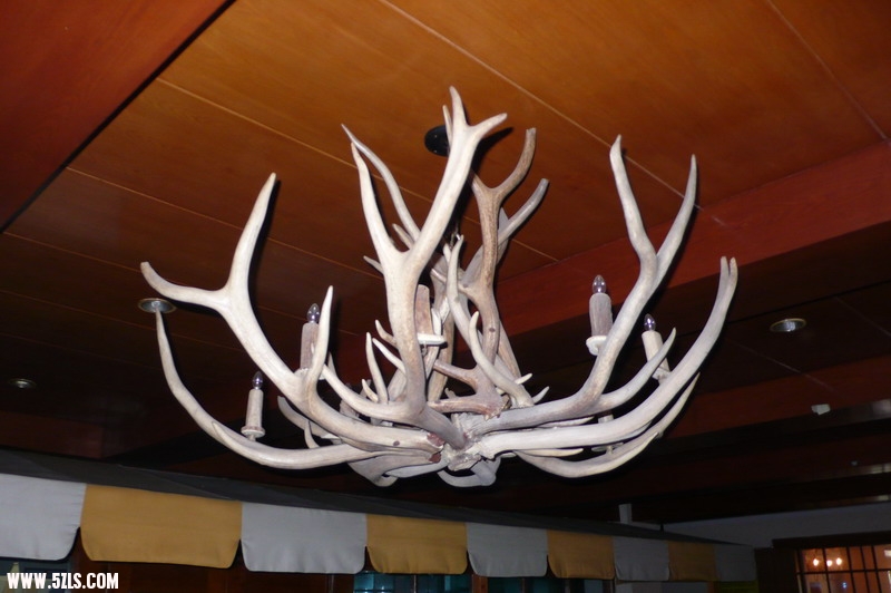 P1130431_СС.JPG