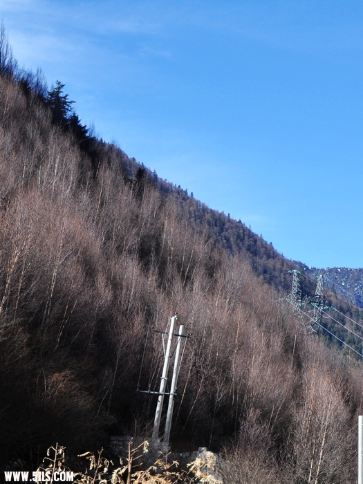 DSC_0329-1.jpg