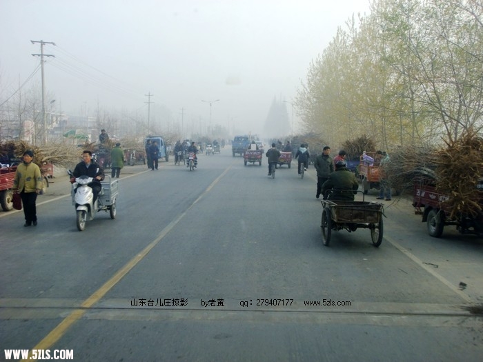 DSCF9182.JPG