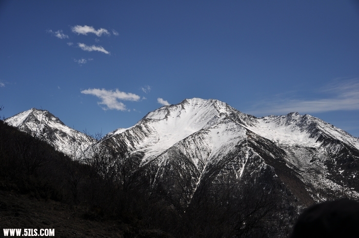 DSC_0394-1.jpg