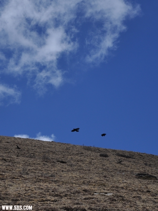 DSC_0398-1.jpg