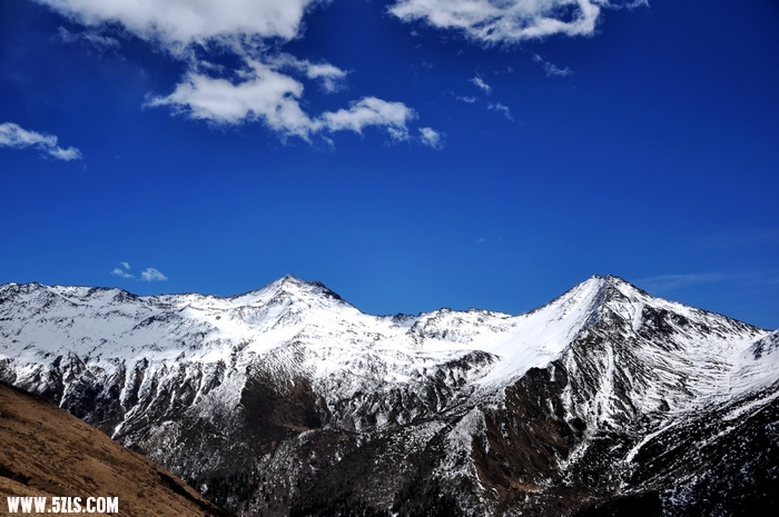 DSC_0401-1.jpg