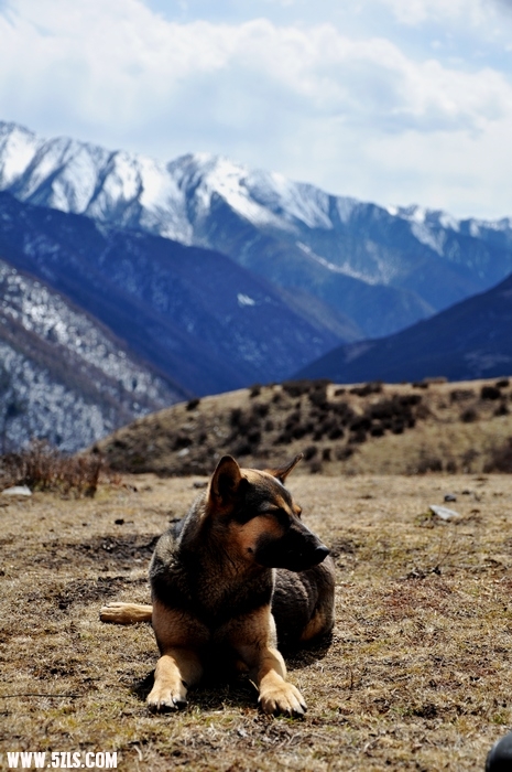 DSC_0419-1.jpg