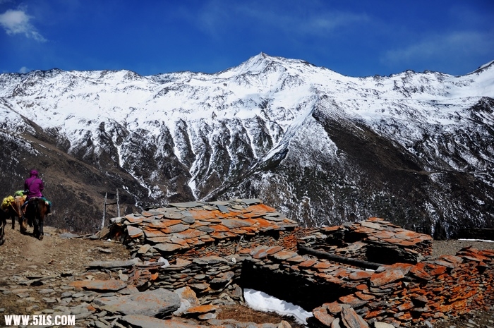 DSC_0426-1.jpg