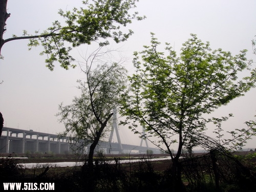 洲上风光