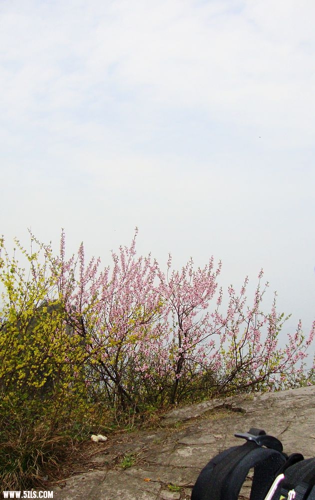 DSC02411.JPG