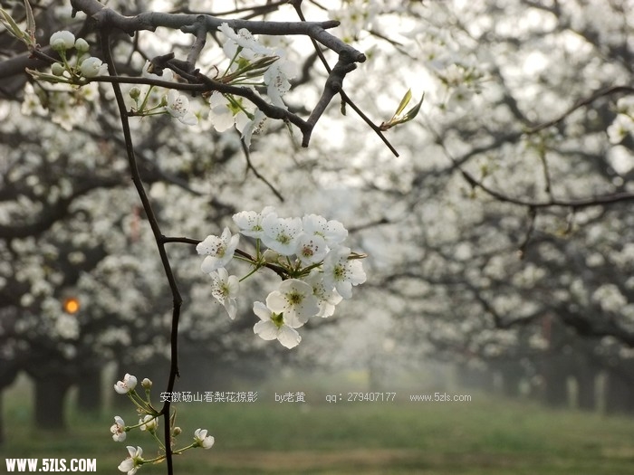 DSCF9558.JPG
