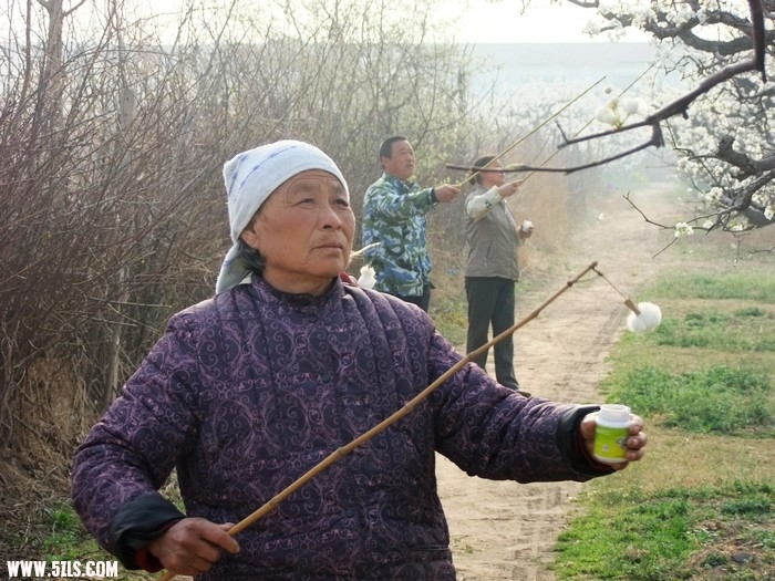 DSCF9574.JPG