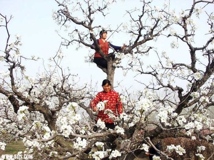 DSCF9575.JPG