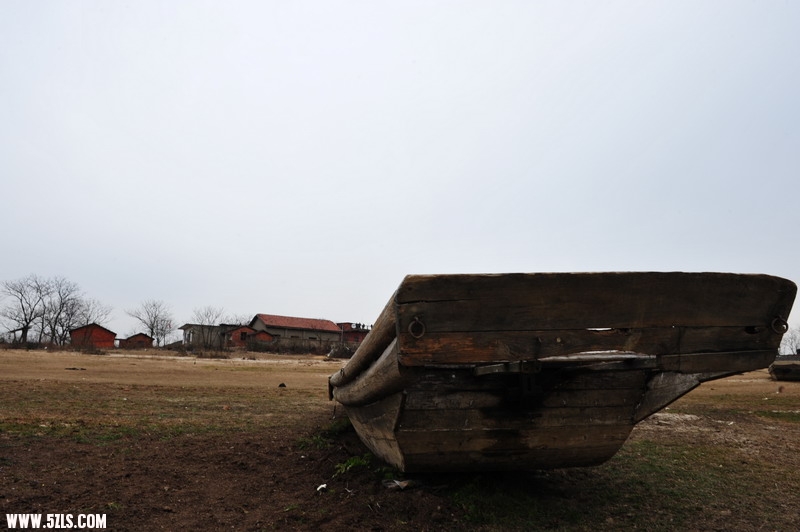 DSC_2917_СС.JPG