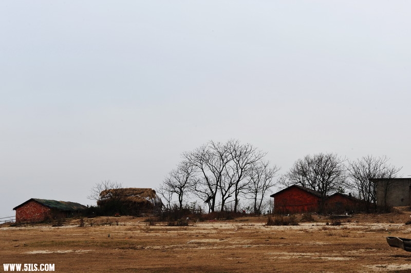 DSC_2910_СС.JPG