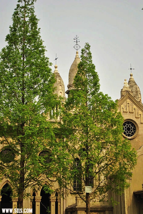 nEO_IMG__DSC2116.jpg