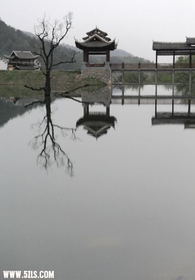 ﹵ 745.jpg