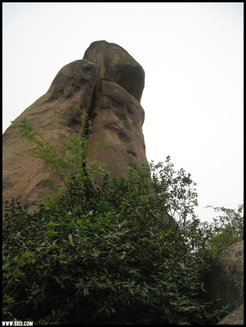 conew_img_5510.jpg