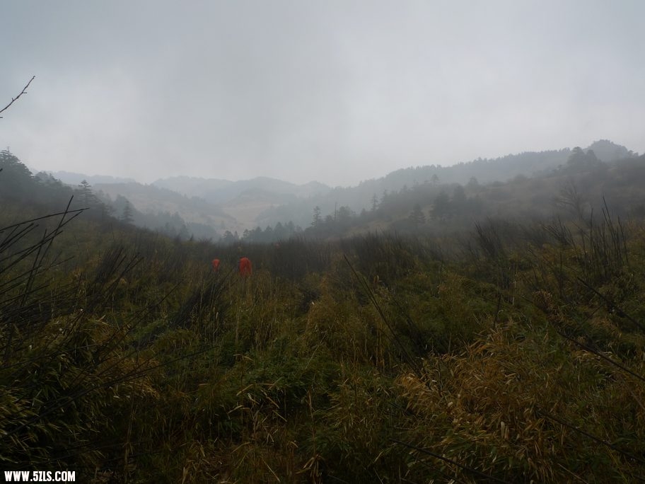 L1030333.jpg
