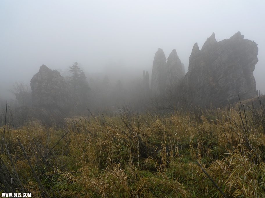 L1030331.jpg
