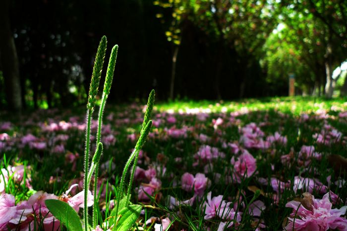 Ƭ 017.jpg