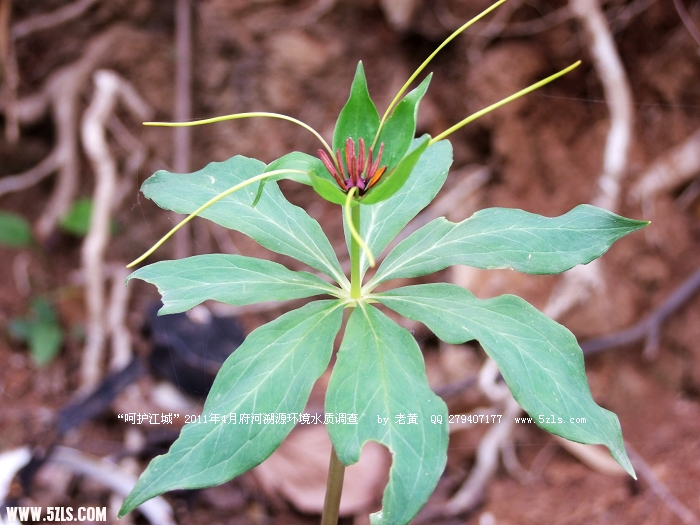 DSCF9860.JPG