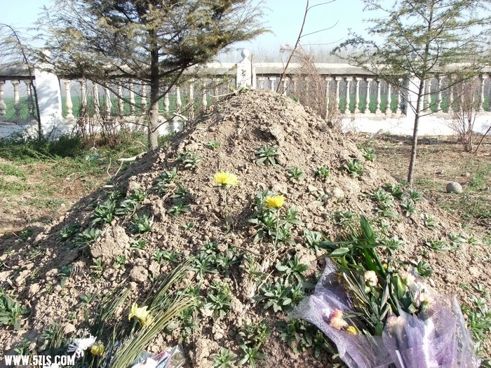 DSCF9703.JPG
