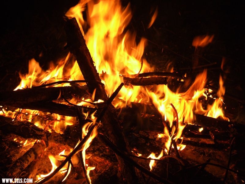 DSCF7428.JPG