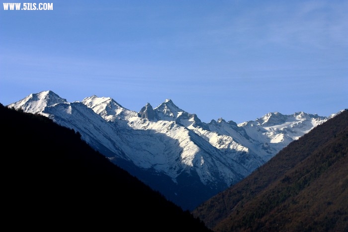 IMG_9009.jpg