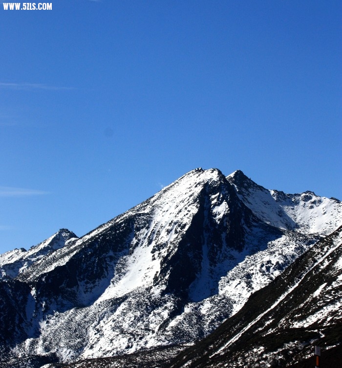 IMG_9037.jpg