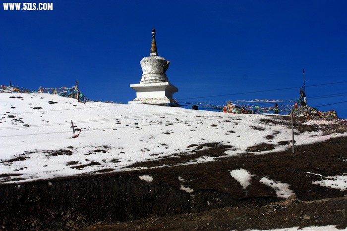 IMG_9047.jpg
