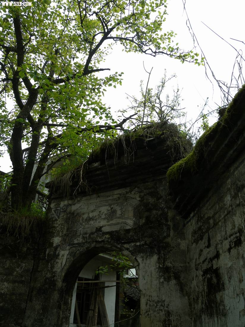 С ת DSCN3908.JPG