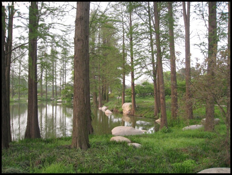 conew_img_5772.jpg
