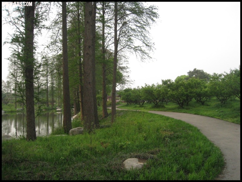 conew_img_5774.jpg