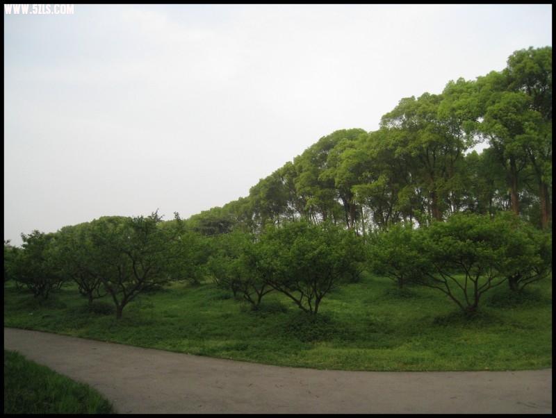 conew_img_5773.jpg