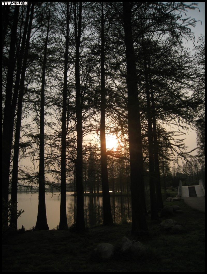 conew_img_5775.jpg