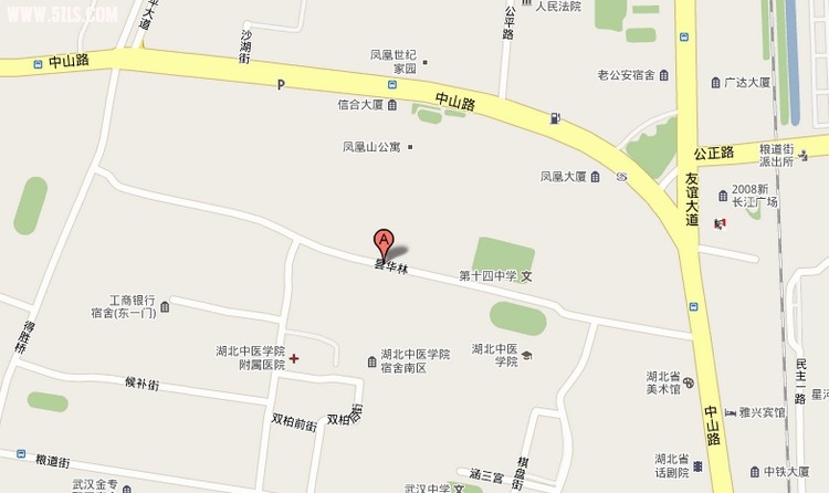 꼻.jpg
