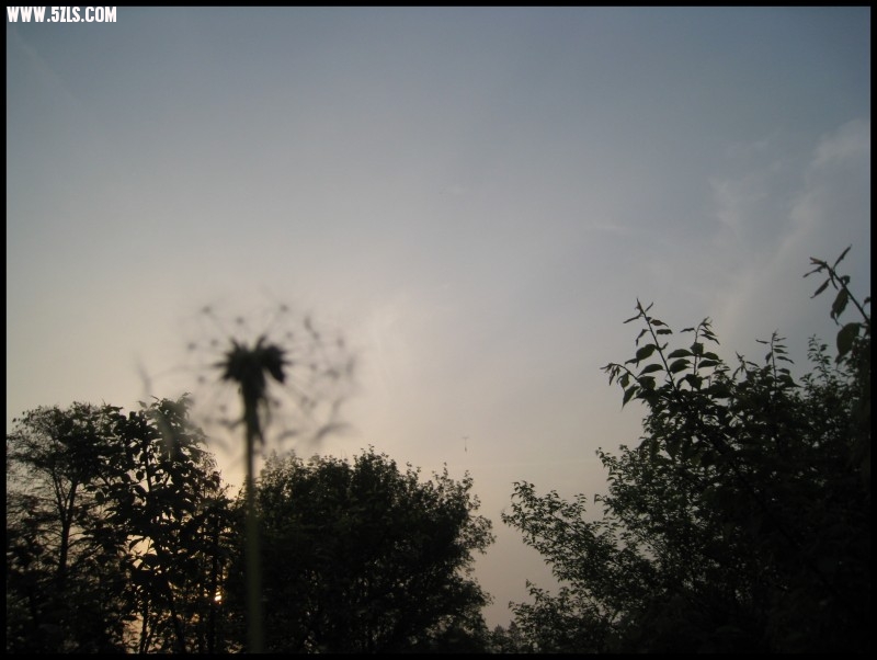conew_img_5781.jpg