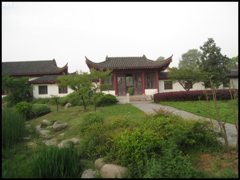 conew_img_5789.jpg