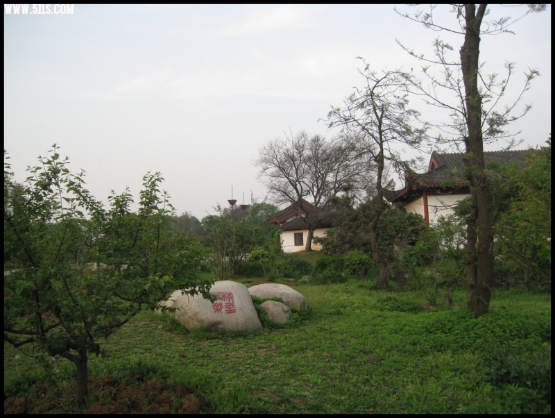 conew_img_5790.jpg