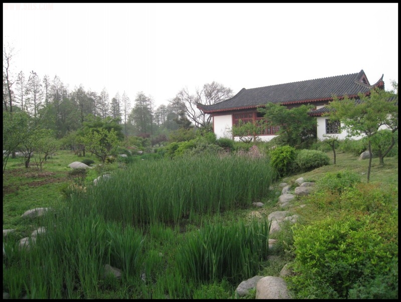 conew_img_5788.jpg