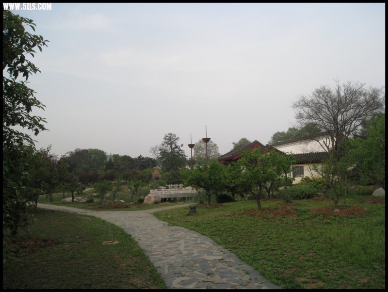 conew_img_5791.jpg