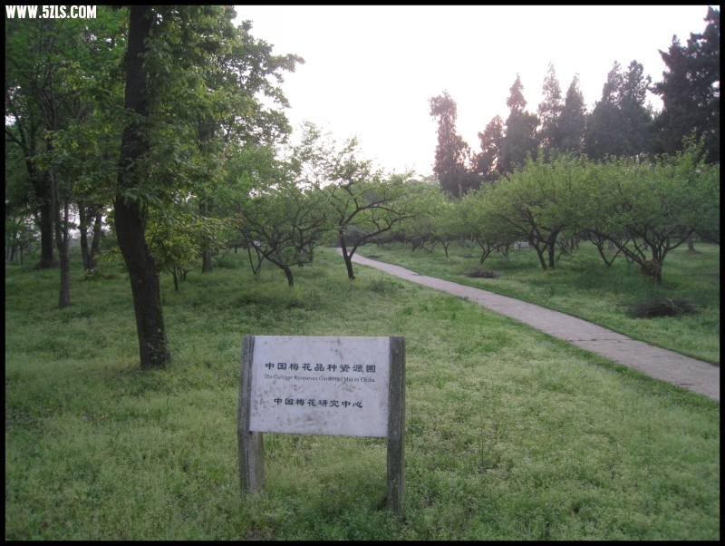 conew_img_5802.jpg
