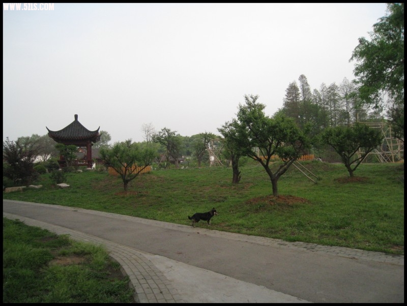 conew_img_5796.jpg