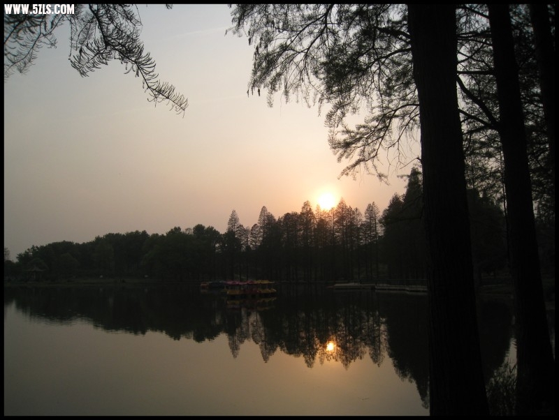 conew_img_5798.jpg
