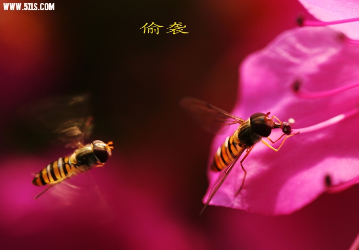 Ƭ 074.jpg