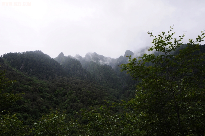 照片 781.jpg
