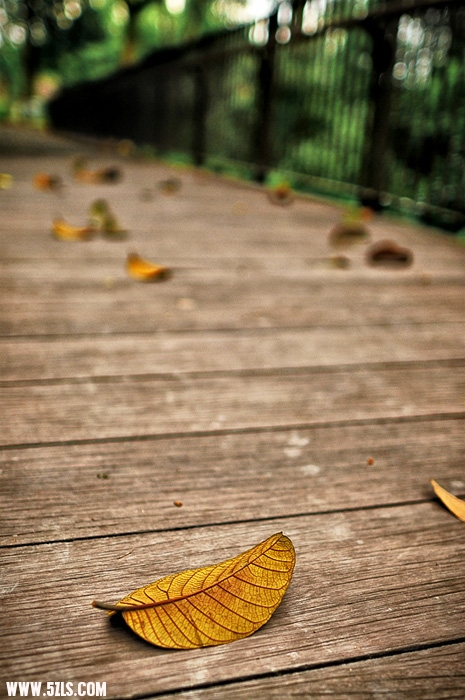 _DSC6129e.jpg