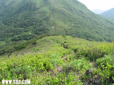 2011042216.jpg