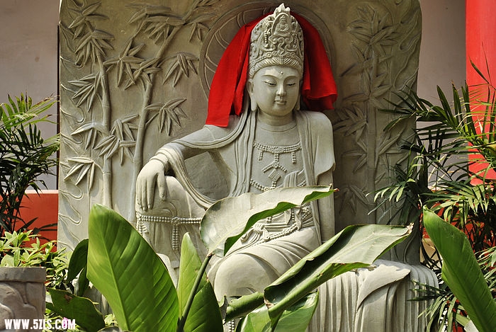 nEO_IMG__DSC2284.jpg