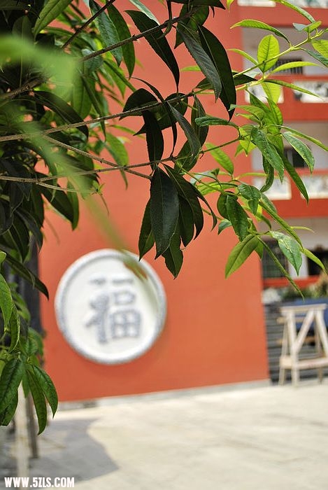 nEO_IMG__DSC2298.jpg
