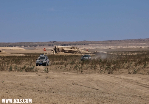 IMG_8079 - س.jpg