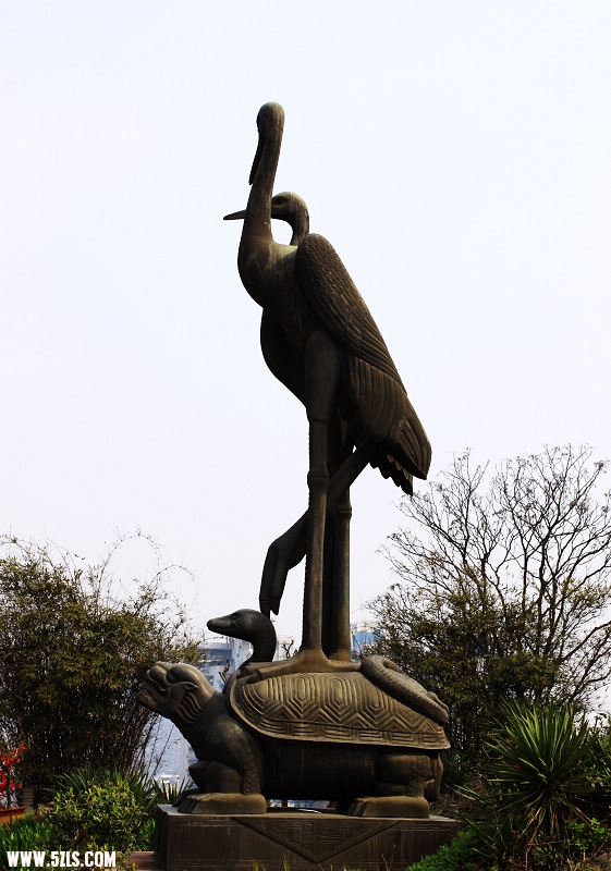 IMG_4916.JPG